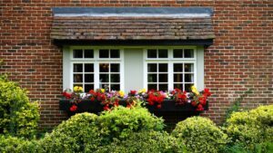 Read more about the article Preparing Your Garden For A PCS Move: A Handy Guide